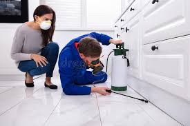 Best Residential Pest Control  in Westminster, CO